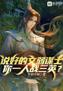说好的文弱谋士,你一人战三英?