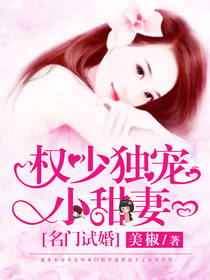 名门试婚:权少独宠小甜妻