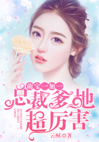 萌宝一加一:总裁爹地超厉害