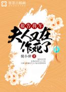 报告将军,夫人又在作死了
