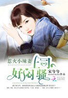 惹火小辣妻:上司,好闷骚