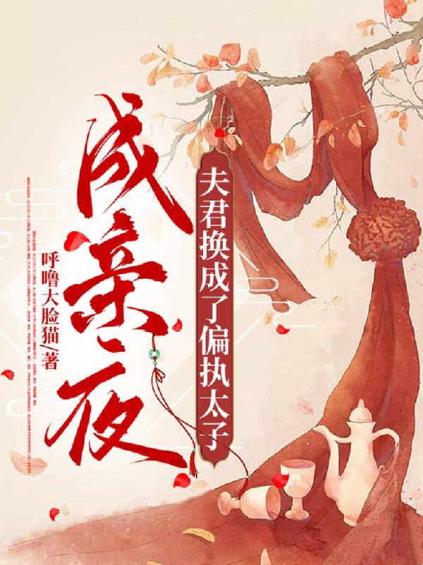 成亲夜,夫君换成了偏执太子