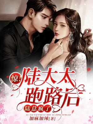 惊!陆太太跑路后,陆总疯了