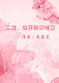 二货,放开那只暗卫