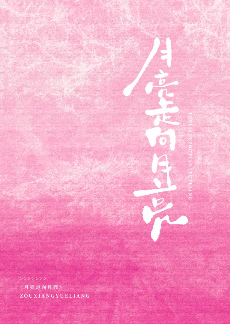 月亮走向月亮