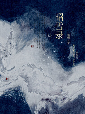 昭雪录（探案）