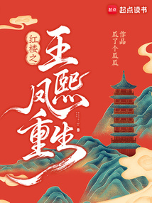 红楼：重生王熙凤携贾琏逆风翻盘