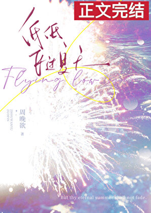 低低飞过夏天