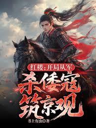 红楼：开局从军，杀倭寇筑京观！