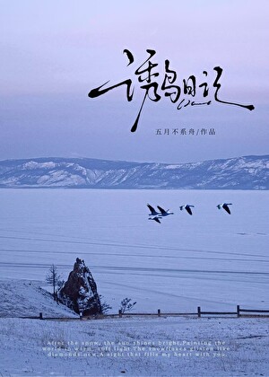 诱鸟日记
