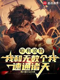 哈利波特：我和无数个我速通诸天