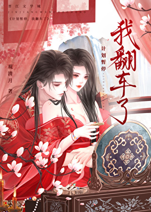 计划暂停，我翻车了