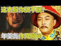 九龙夺嫡，从夜擒年羹尧开始