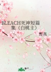 BLEACH死神短篇集(白桃主)